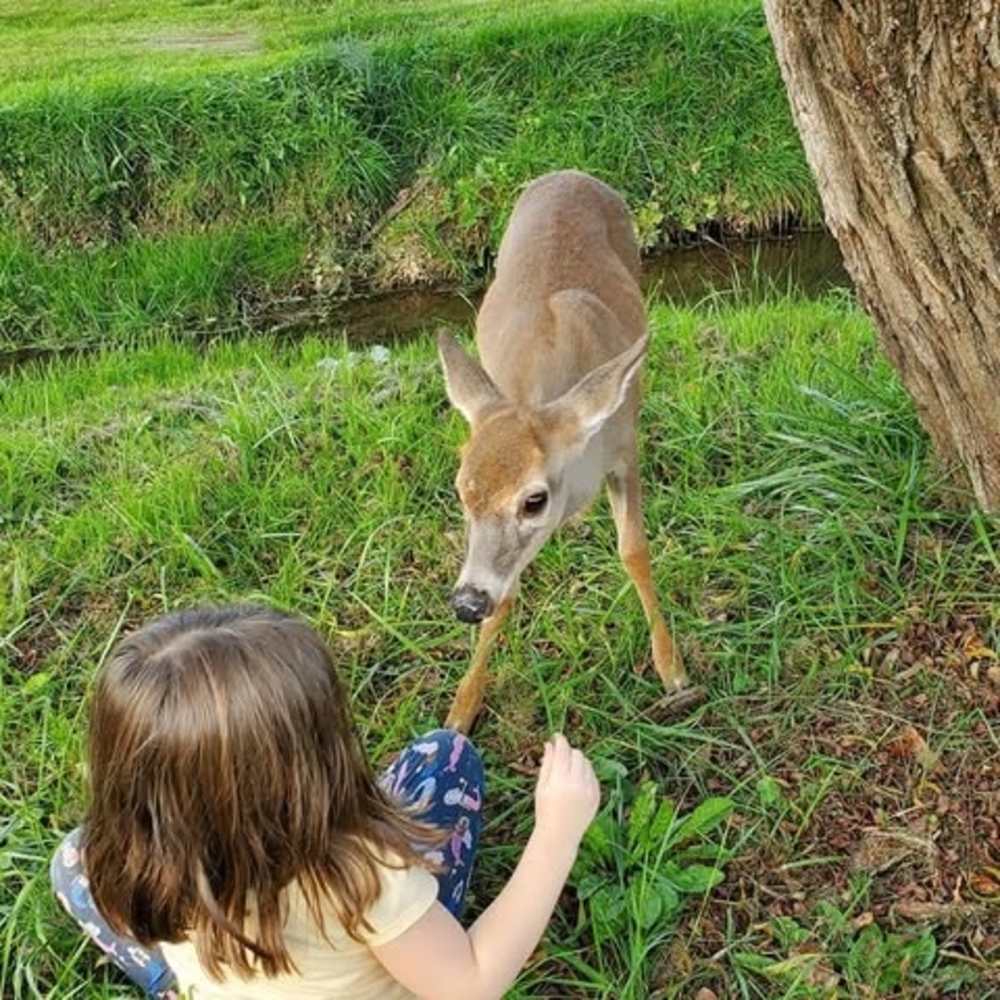Meet your Posher, Lisa